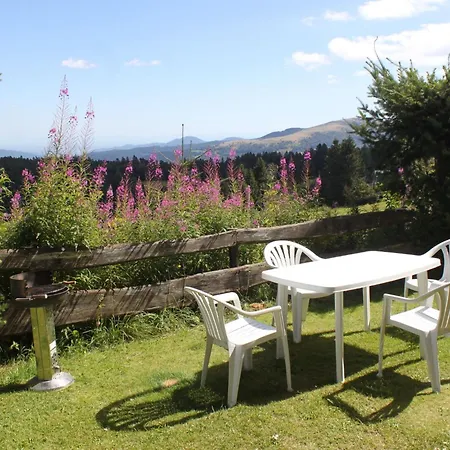 Entre Alsace Et Vosges Dans La Vallee De Munster By Interhome * Sondernach