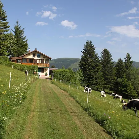 Vakantiehuis Entre Alsace Et Vosges Dans La Vallee De Munster By Interhome Sondernach